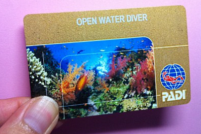 Open Water Diver PADI ID Card.