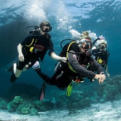 Pulau Payar DSD Intro Dive.